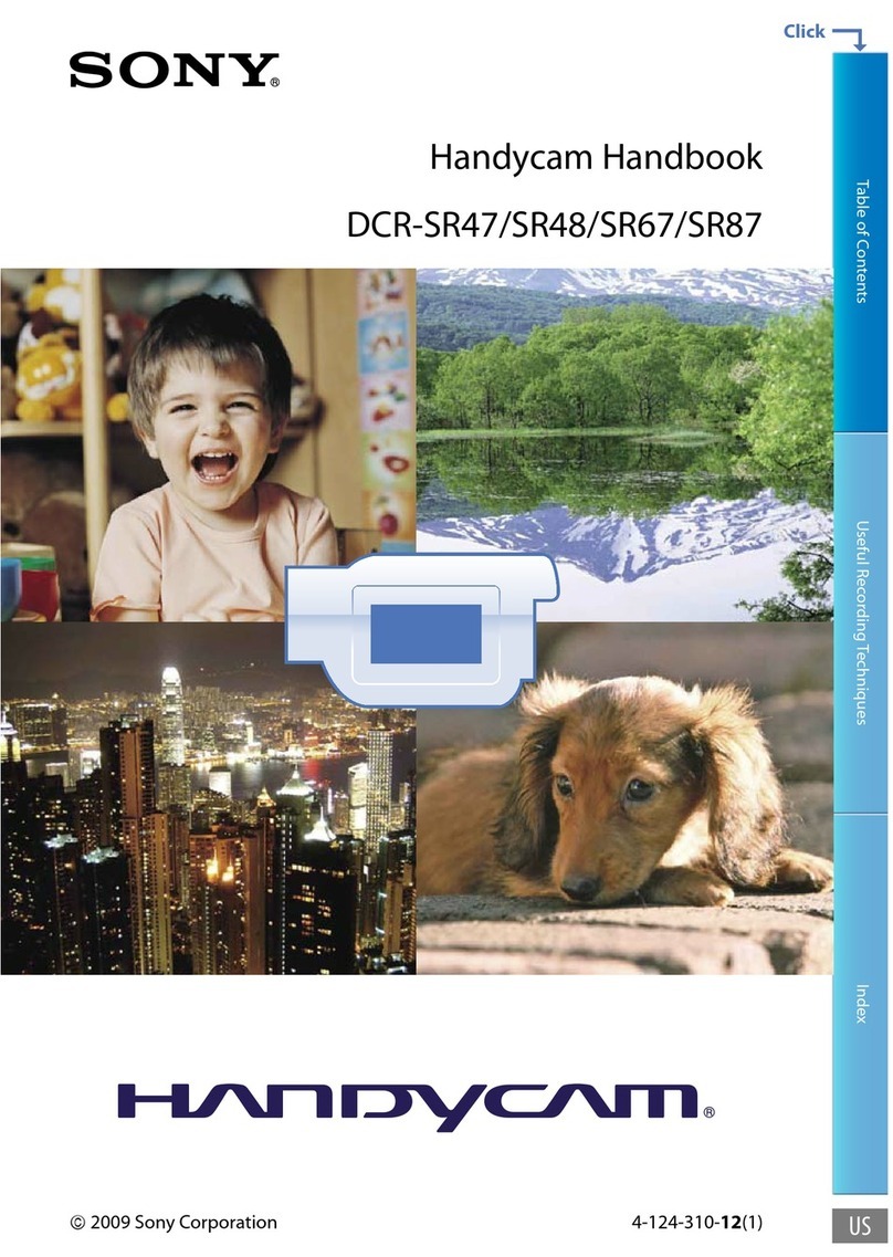 Sony Handycam DCR-SR48 Handbook