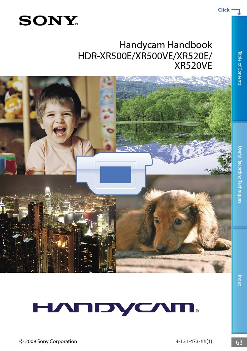 Sony XR500VE User manual