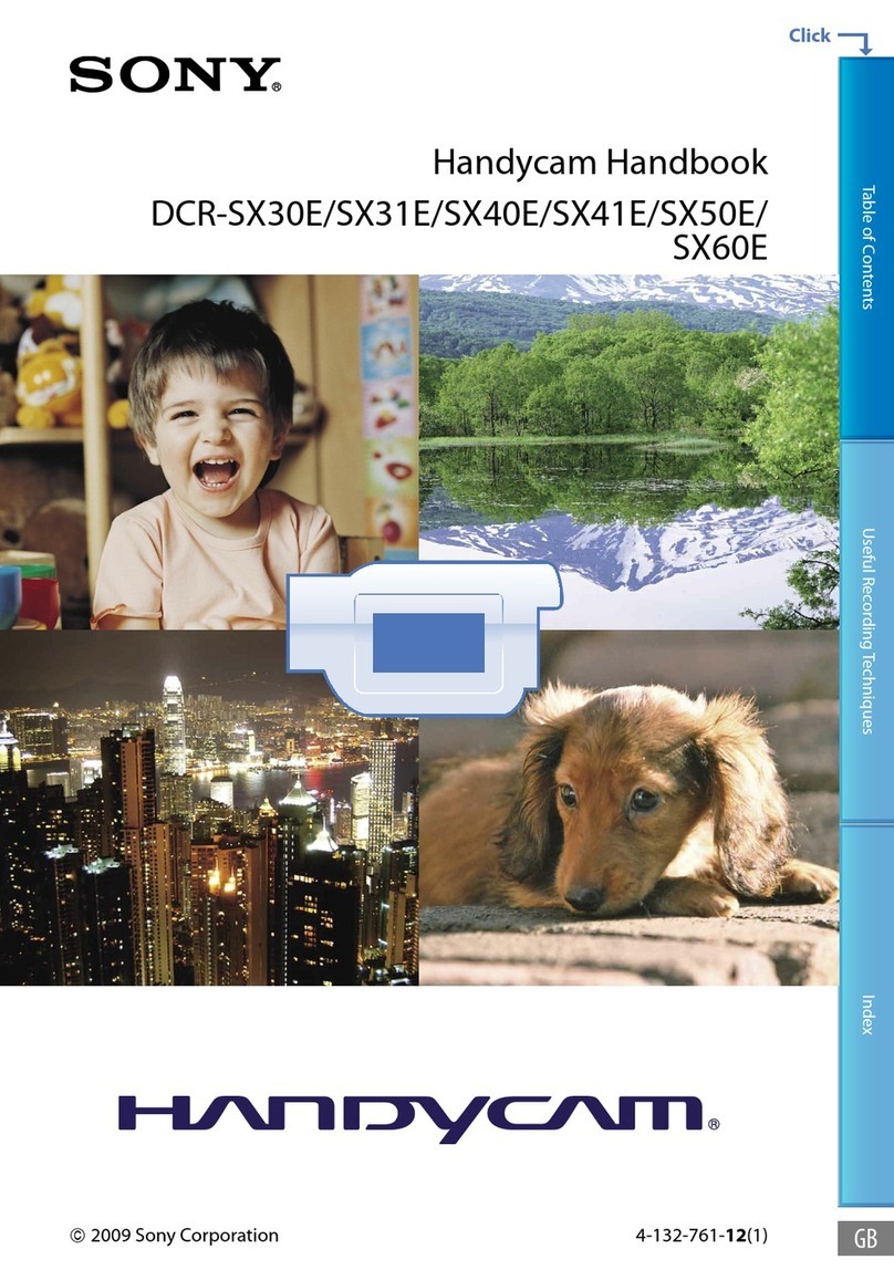 Sony Handycam DCR-SX60E User manual Sony Handycam DCR-SX60E User manual