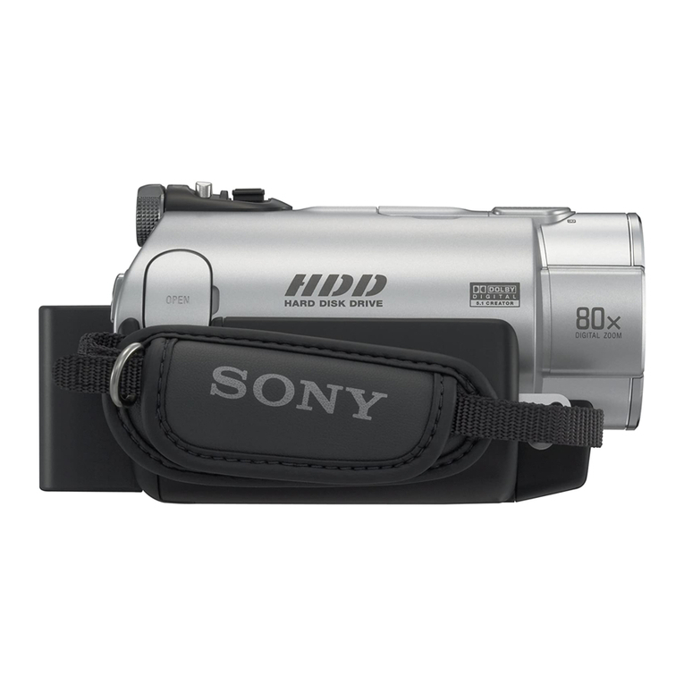 Sony DCR-SR42 User manual