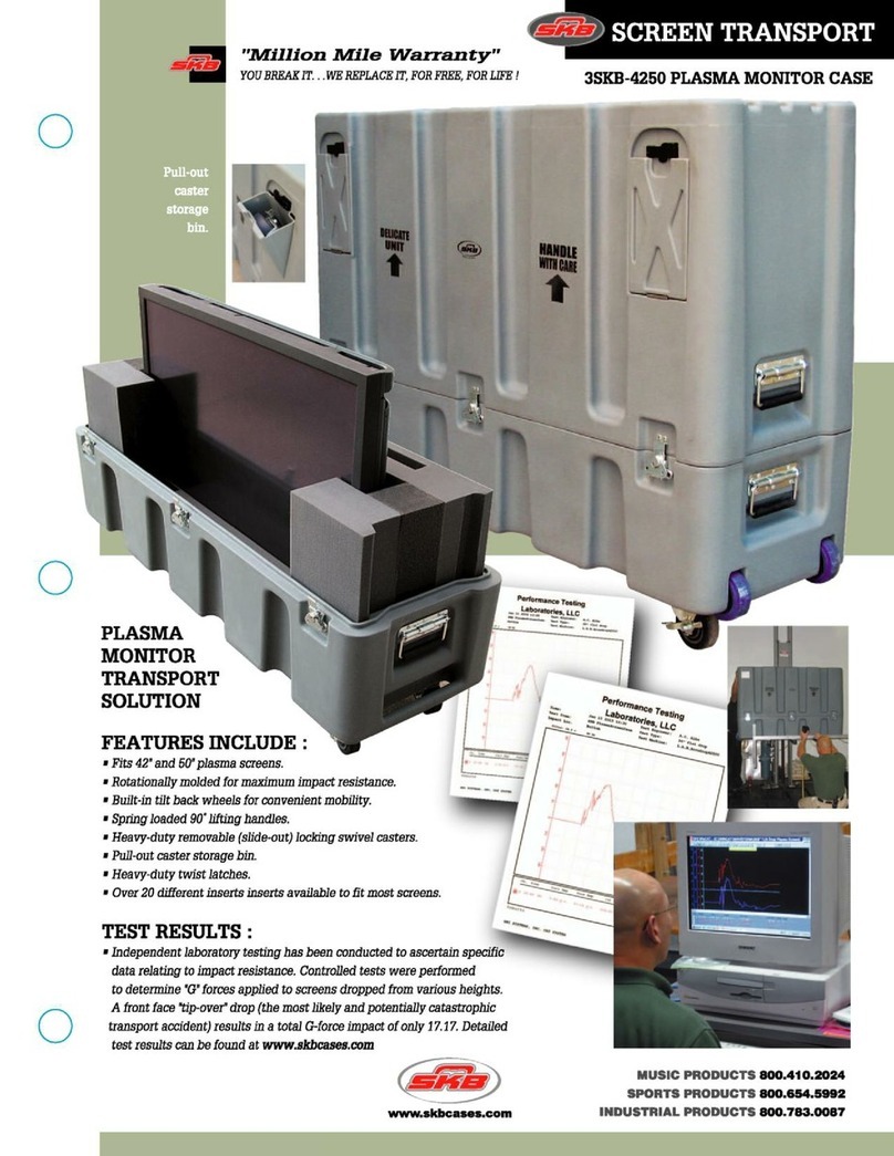 SKB 3SKB-4250 Specification sheet