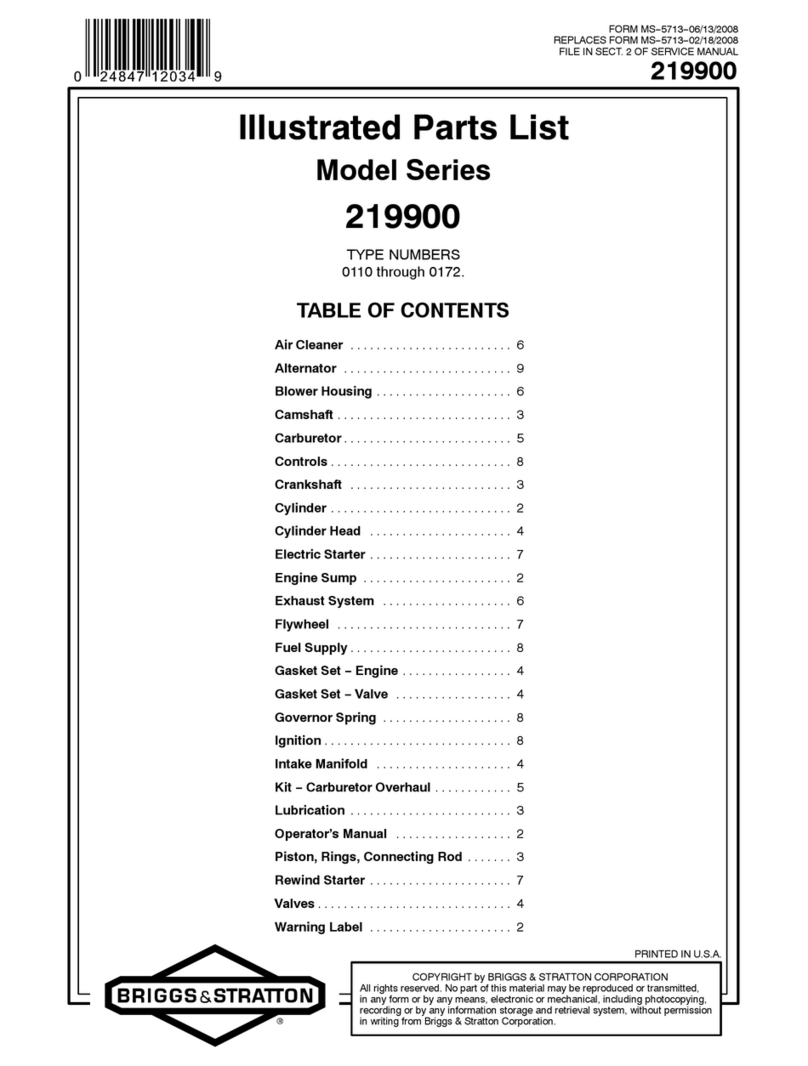 Briggs & Stratton 219900 Series Setup guide