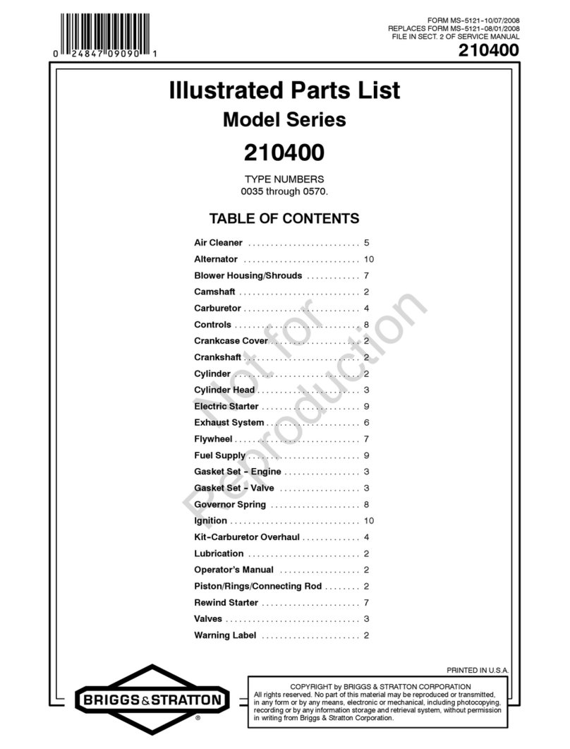 Briggs & Stratton 210400 Series Setup guide