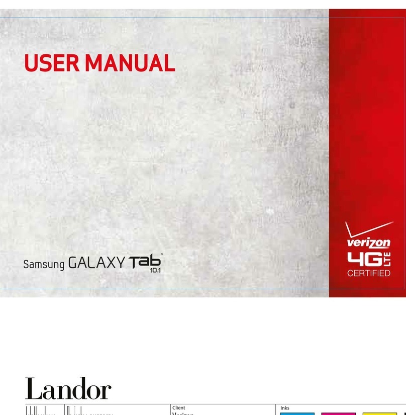 Samsung Digimax 101 user manual