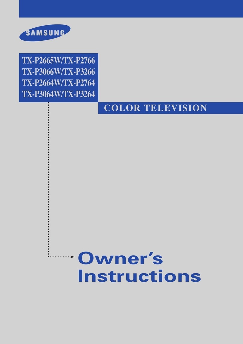 Samsung TX P3064W User manual