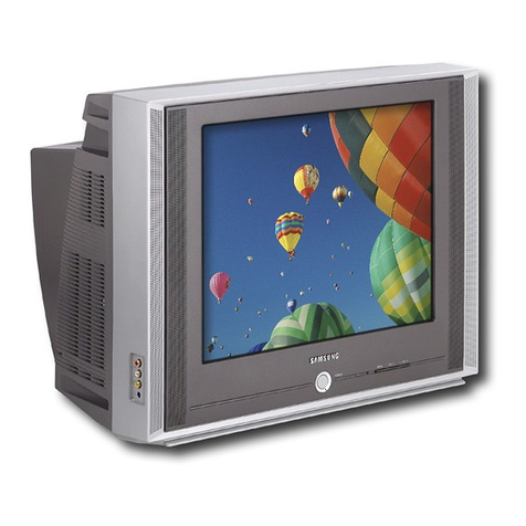 Samsung DynaFlat TX R1635 User manual