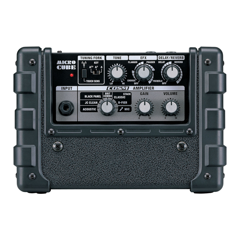 Roland MICRO CUBE MICRO CUBE Guitar Amplifier User manual