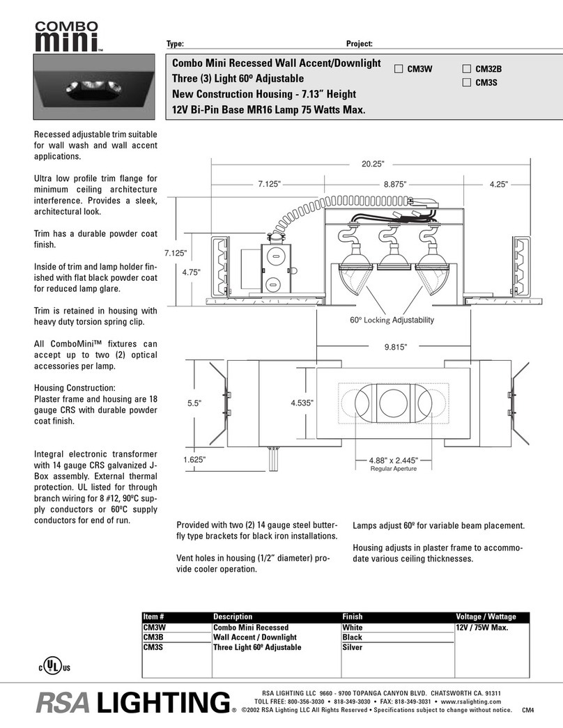 RSA Lighting Combo Mini CM3B specification