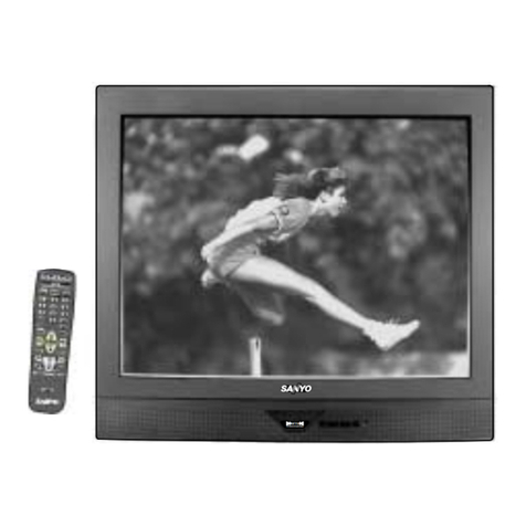 Sanyo DS35510 User manual
