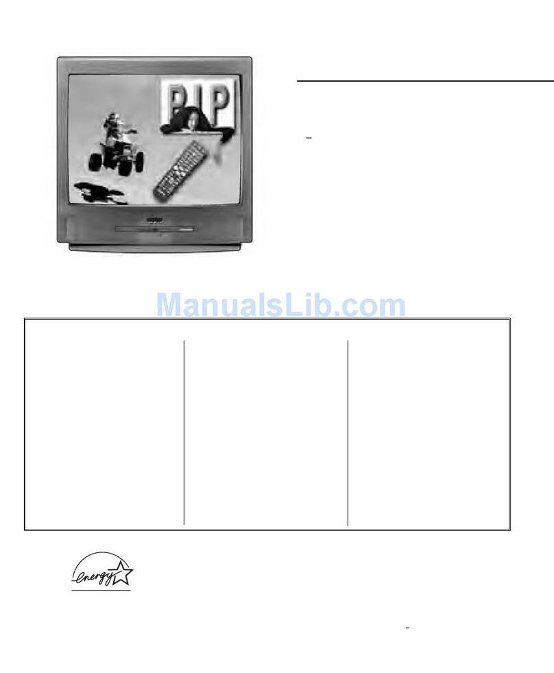 Sanyo DS31820 User manual