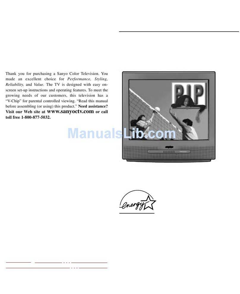 Sanyo DS27820 User manual