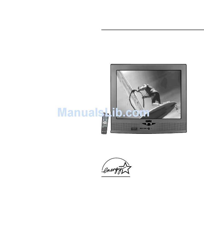 Sanyo DS27510 User manual