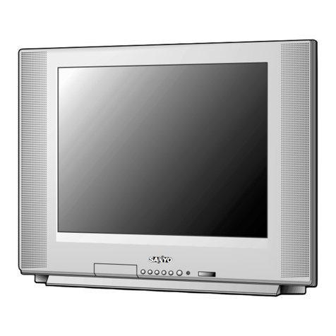 Sanyo DS20424 User manual