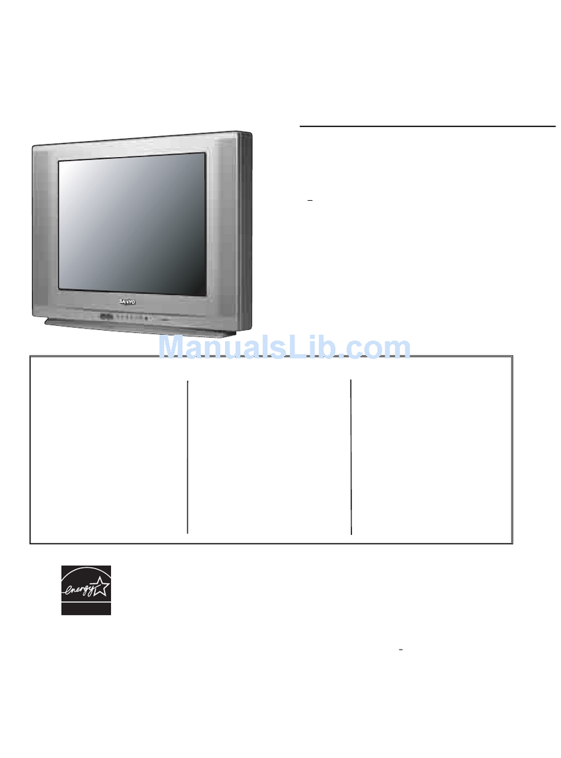 Sanyo DS24424 User manual