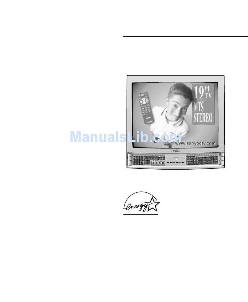 Sanyo DS19500 User manual