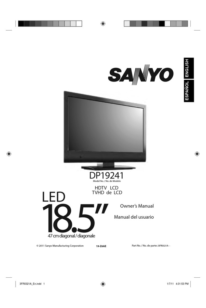 Sanyo DP19241 User manual