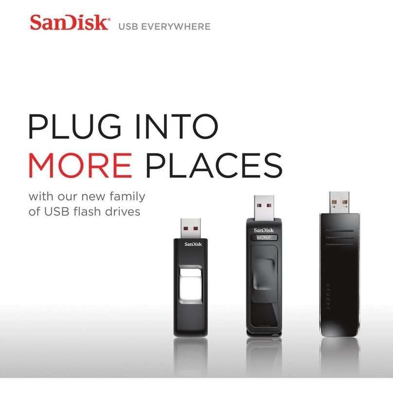 SanDisk 80-11-01663 brochure