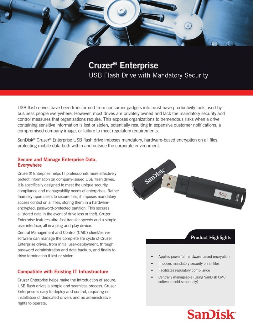 SanDisk Cruzer Enterprise User manual
