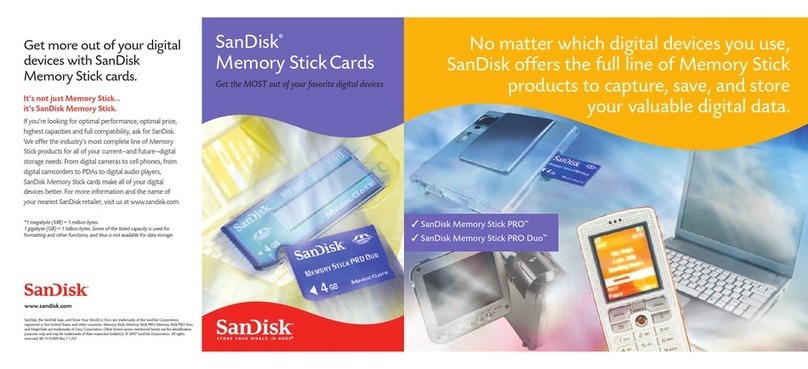 SanDisk 80-11-01300 User manual