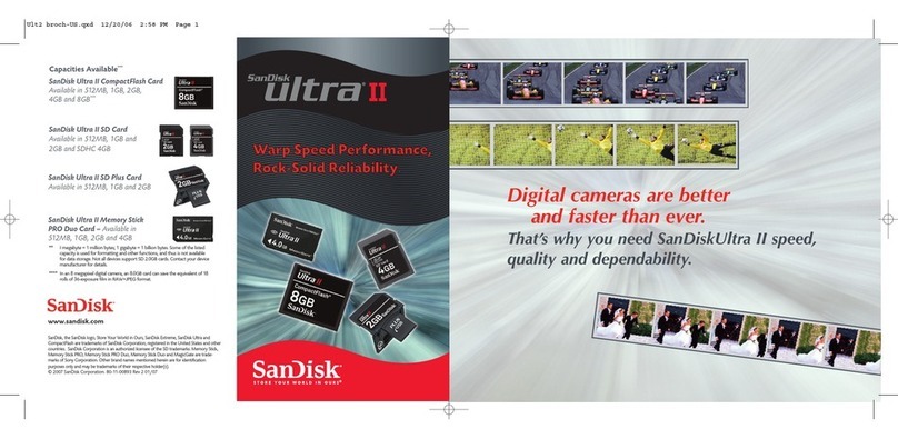 SanDisk 80-11-00893 User manual
