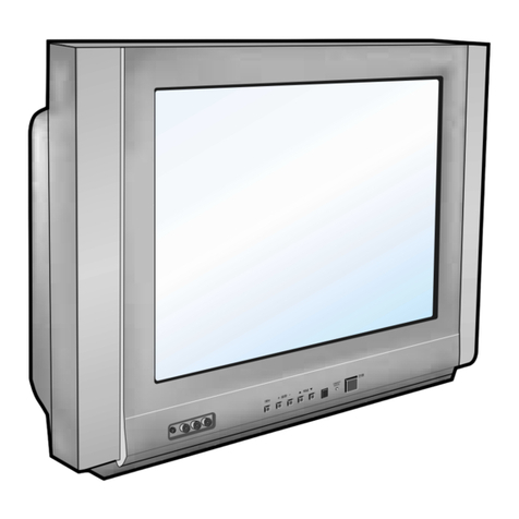 Samsung CS29A5HT8X/BWT User manual