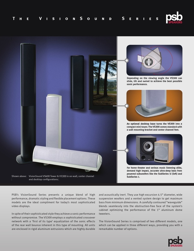 PSB VisionSound VS300 User manual