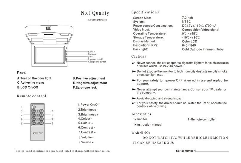 Pyramid Car Video System user manual