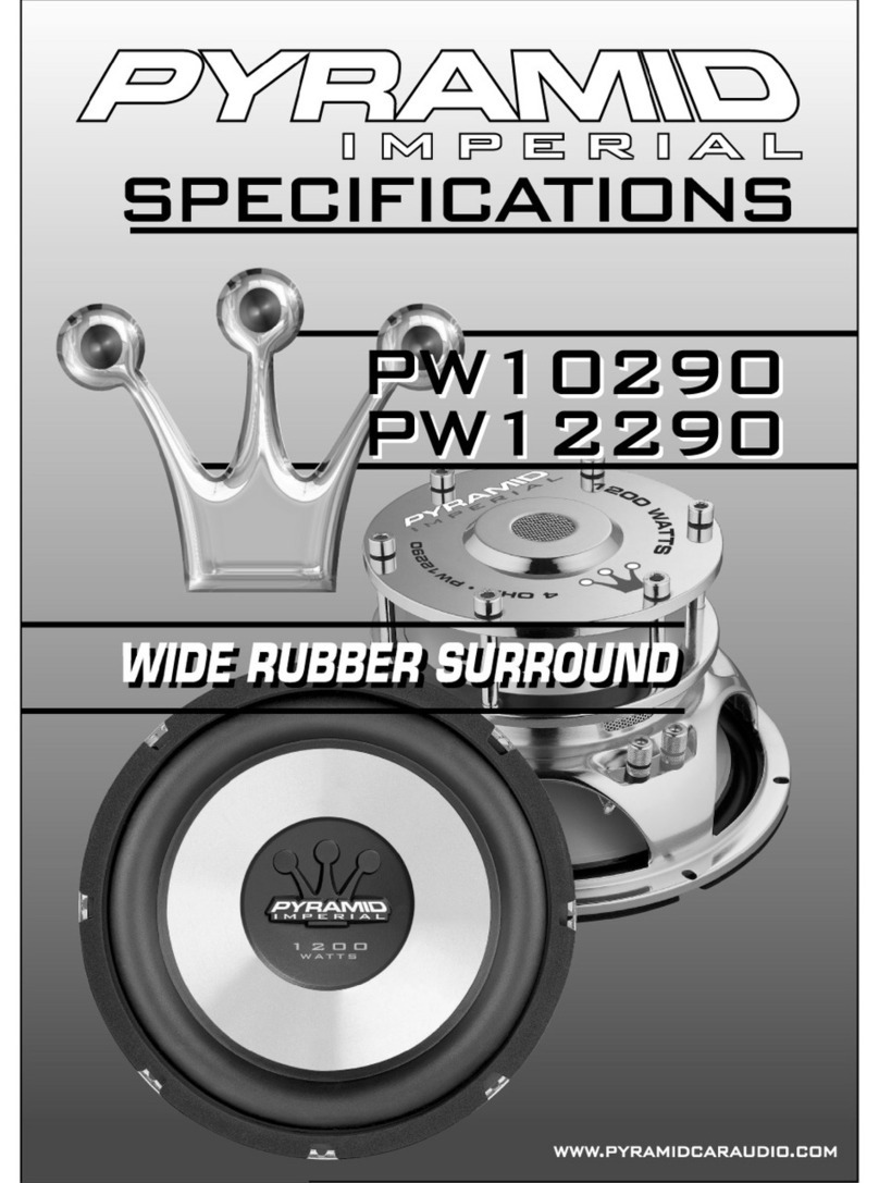 Pyramid PW10290 User manual