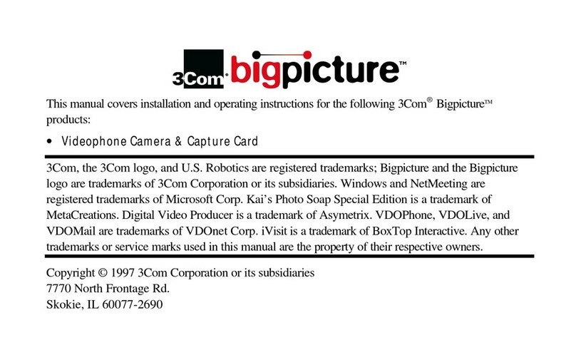 3Com Bigpicture manual