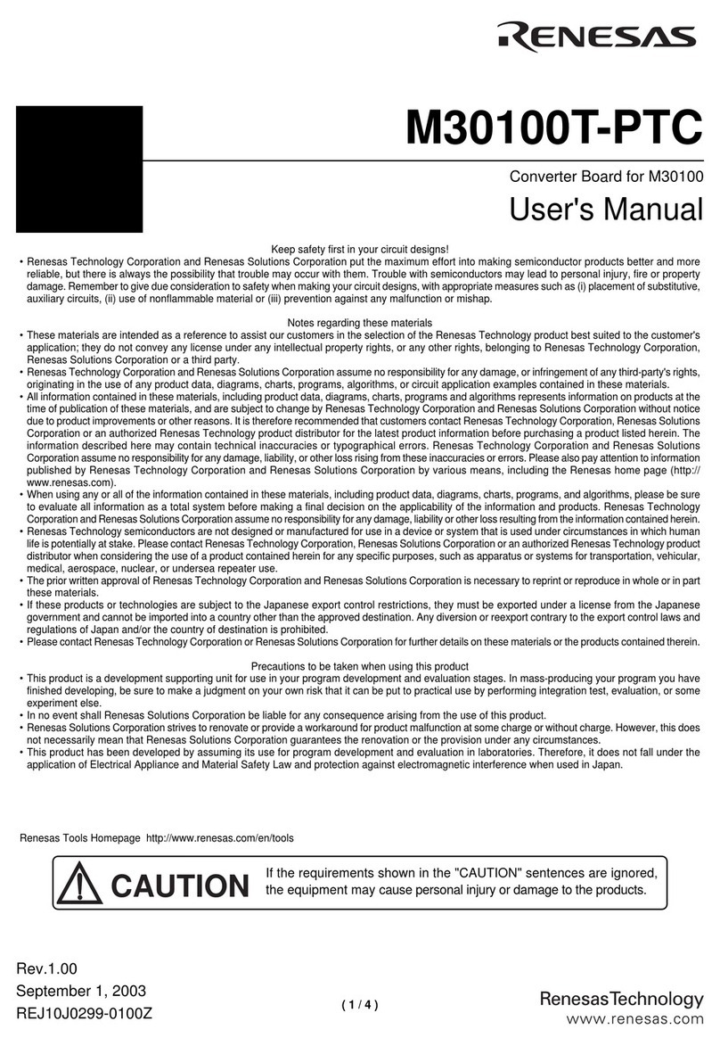 Renesas M30100 User manual