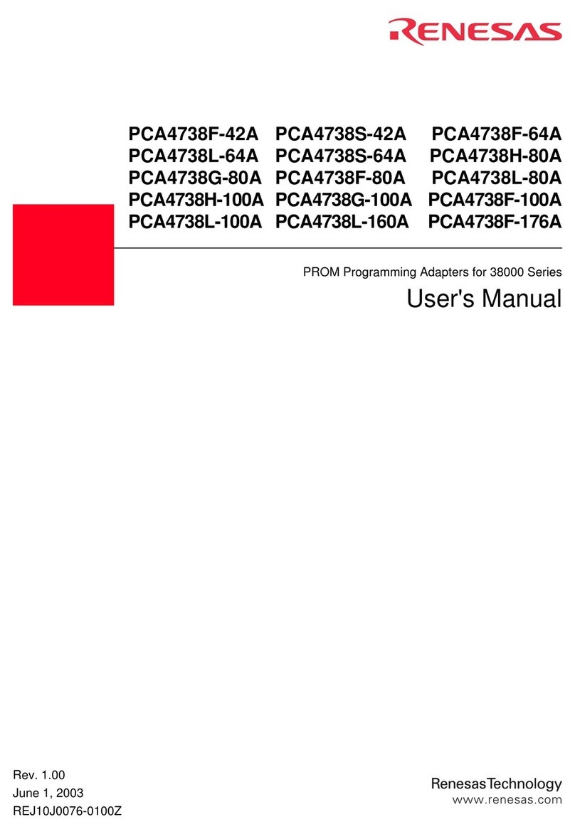 Renesas PCA4738F-100A User manual