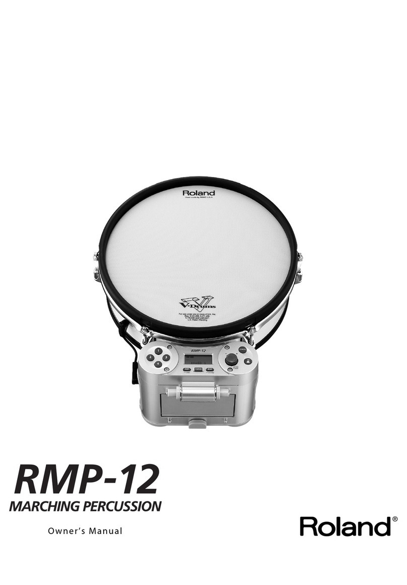 Roland RMP-12 User manual