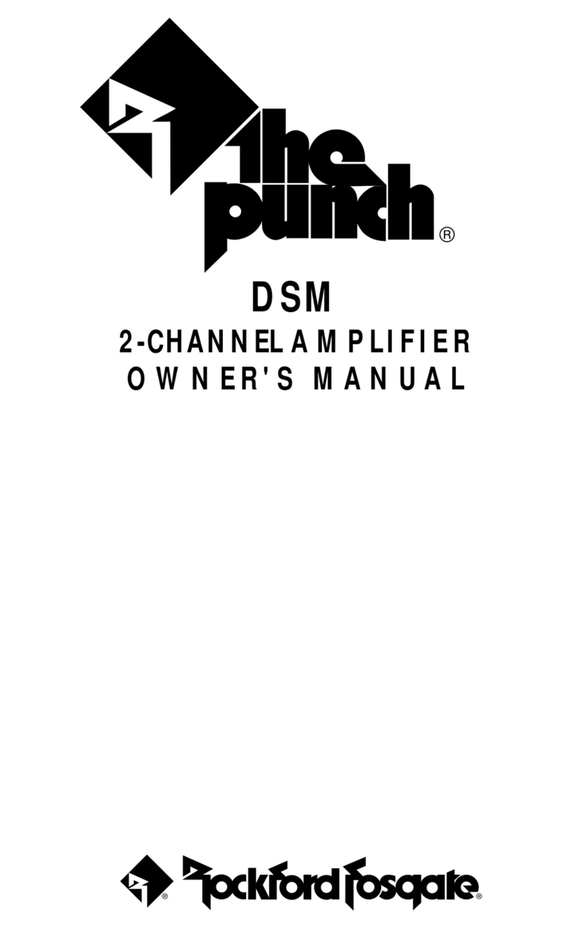 Rockford Fosgate punch 100X2 owner's manual