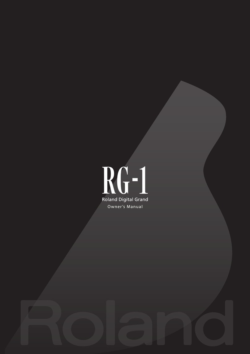 Roland RG-1 User manual