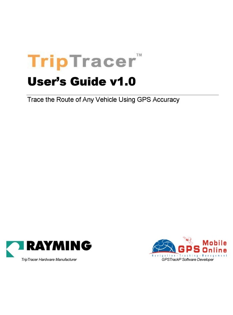 Rayming v1.0 user guide