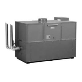 Raypak 302-902 User manual