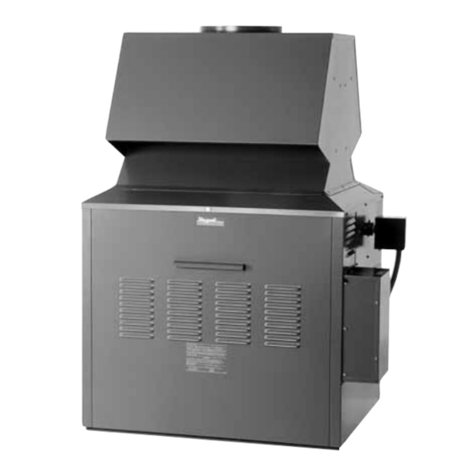 Raypak 0133-4001 User manual
