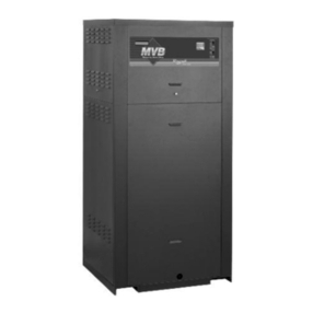 Raypak MVB TYPE B 504-2004 Manual