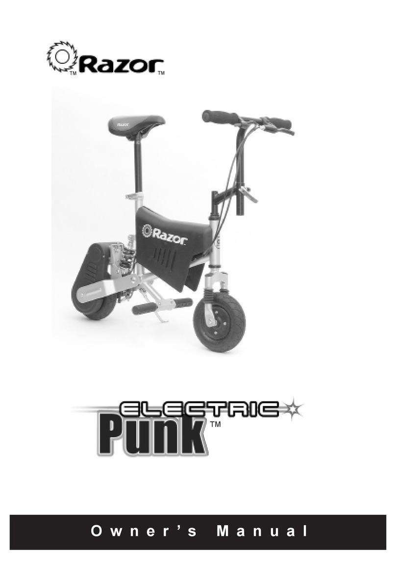 Razor Electric Punk owner's manual