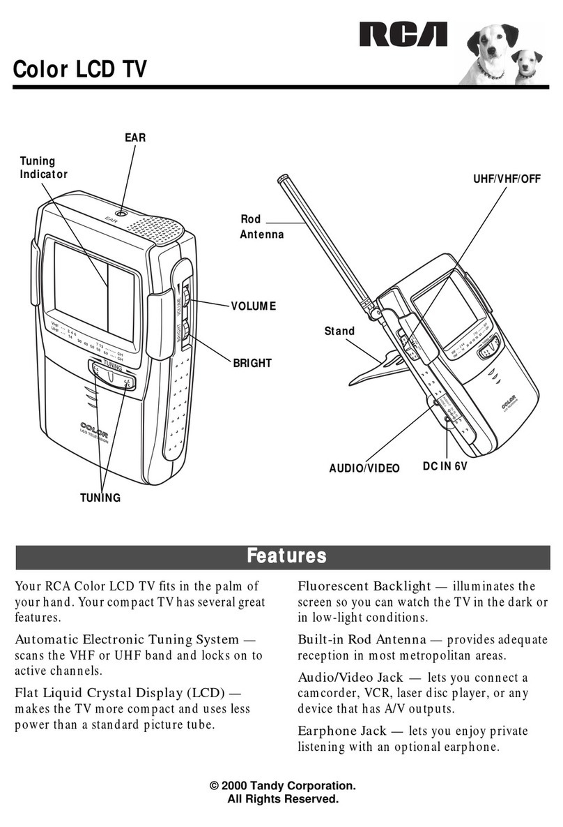 RCA Flat Panel Television user manual
