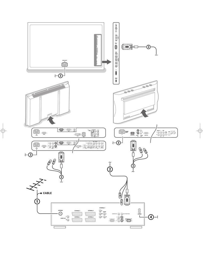 Philips FlatTV FTR9964 User manual