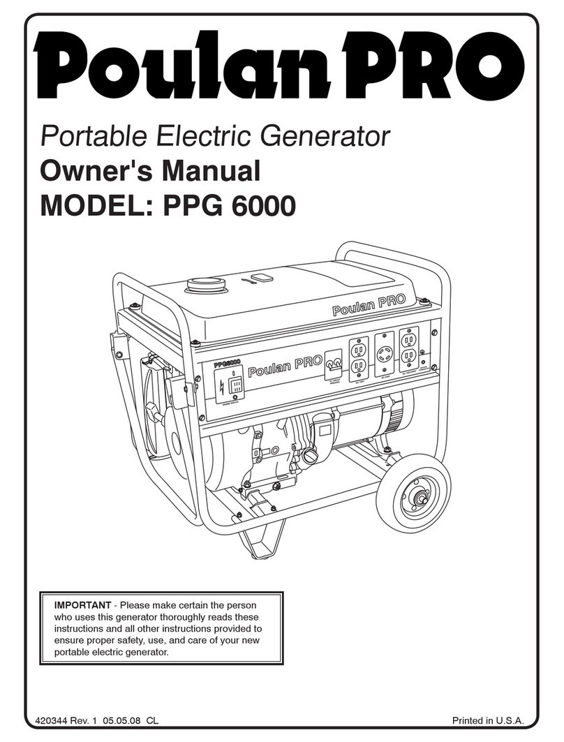 Poulan Pro PPG 6000 User manual