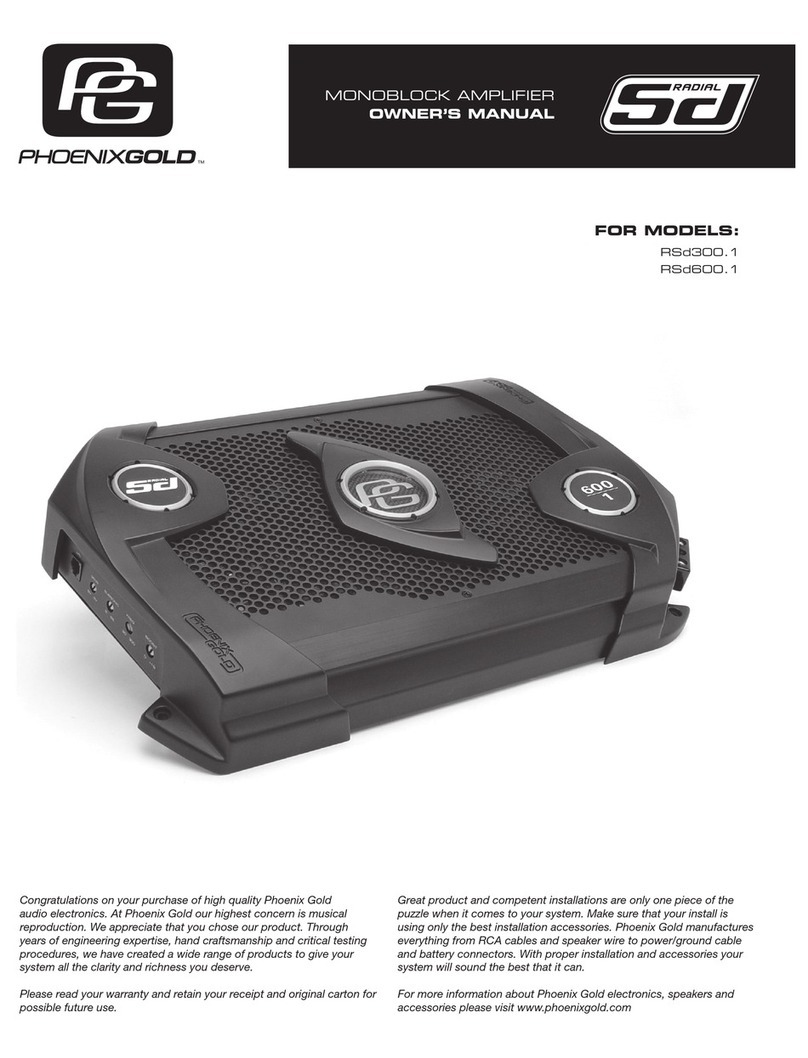 Phoenix Gold RSD300.1 User manual