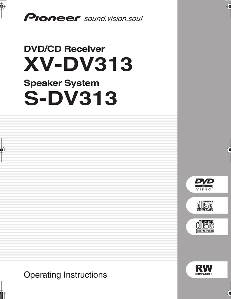 Pioneer S-DV313 User manual