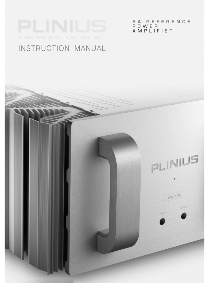 Plinius P10 User manual