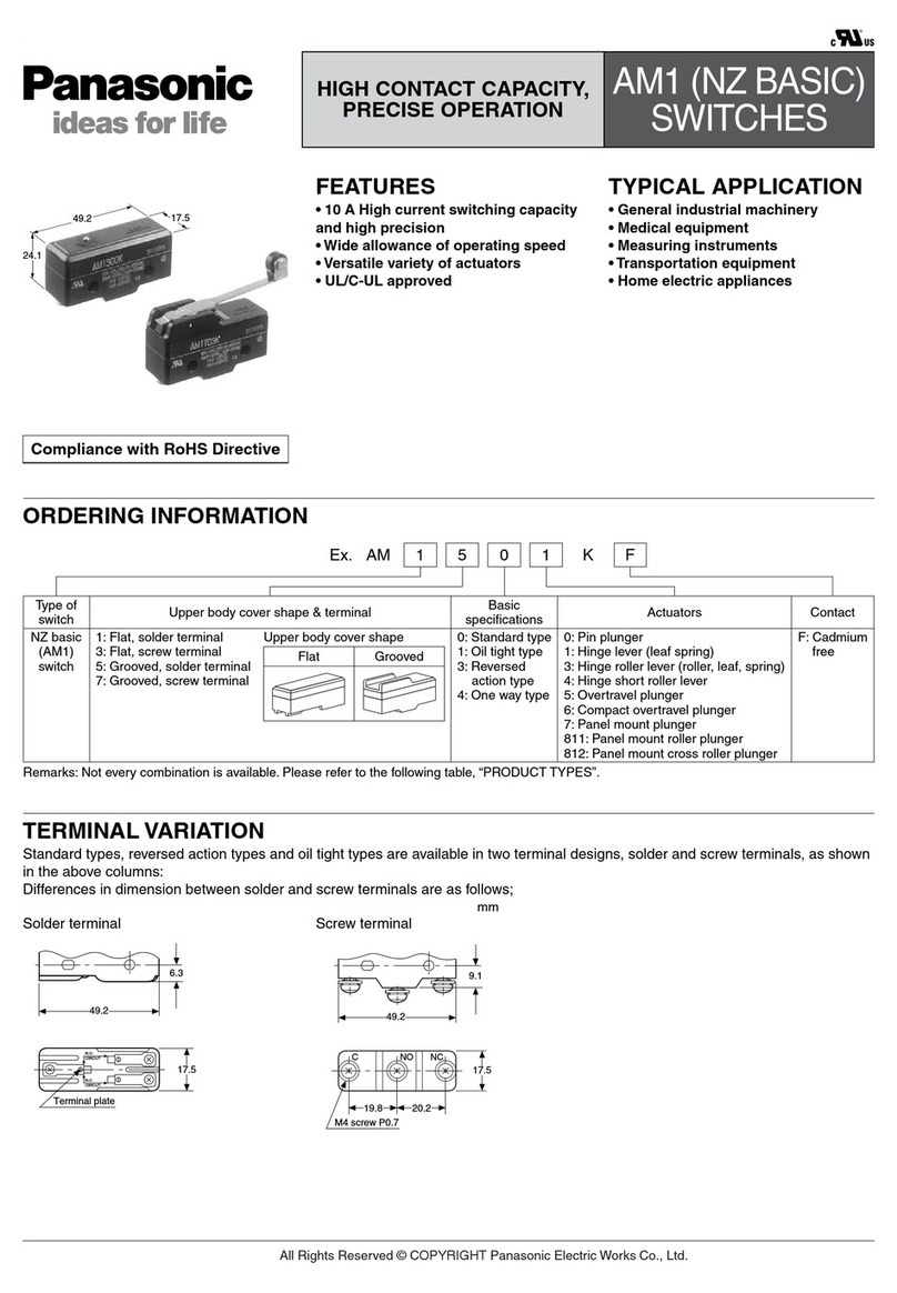 Panasonic AM1 (NZ BASIC) Specification sheet