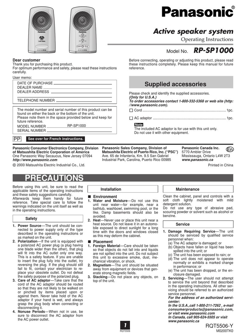 Panasonic RP-SP1000 User manual