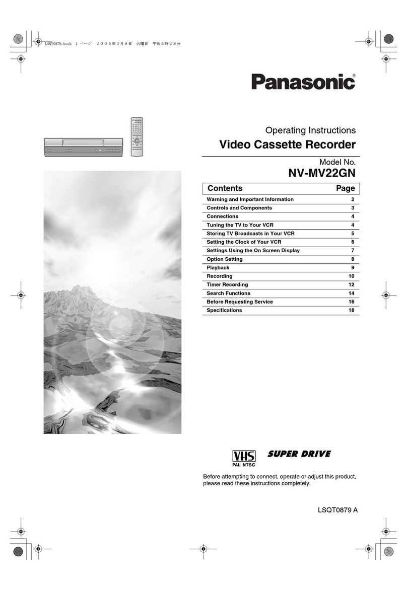 Panasonic NV-MV22GN User manual