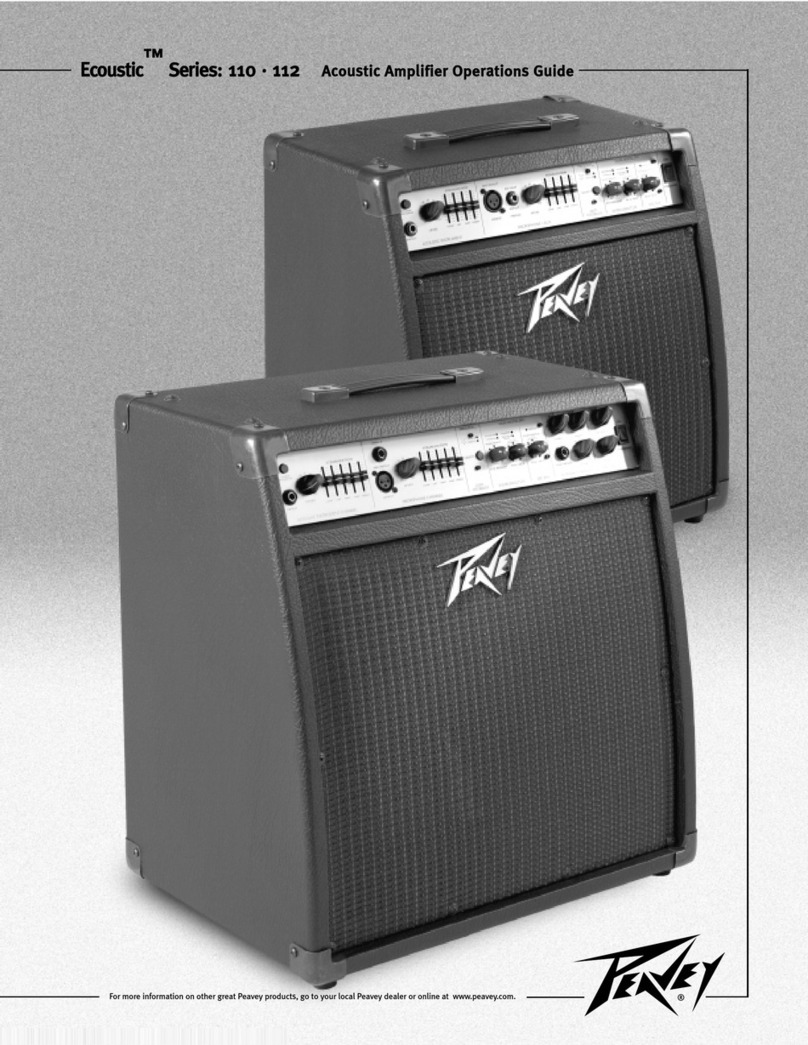 Peavey Ecoustic 110 User manual