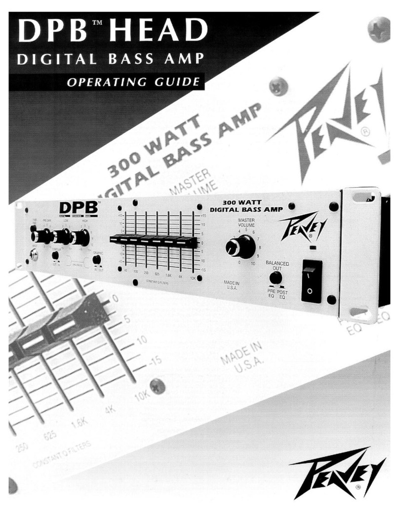 Peavey DPB Head operating guide